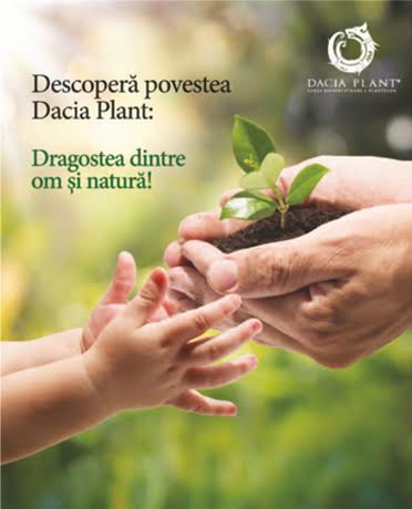 Tecnam